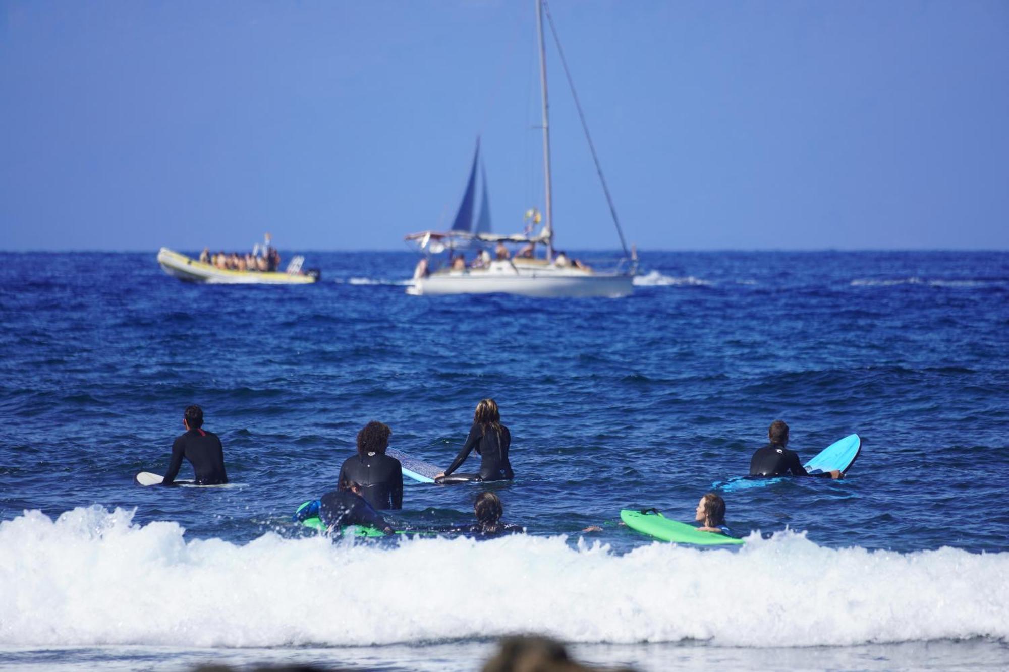Single Fin Surf Hostel